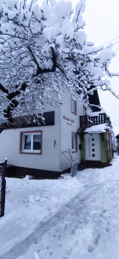 Appartamento Haus Elli Greifenburg Esterno foto