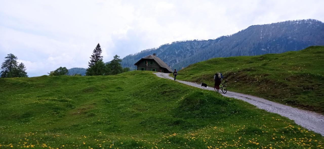 Appartamento Haus Elli Greifenburg Esterno foto