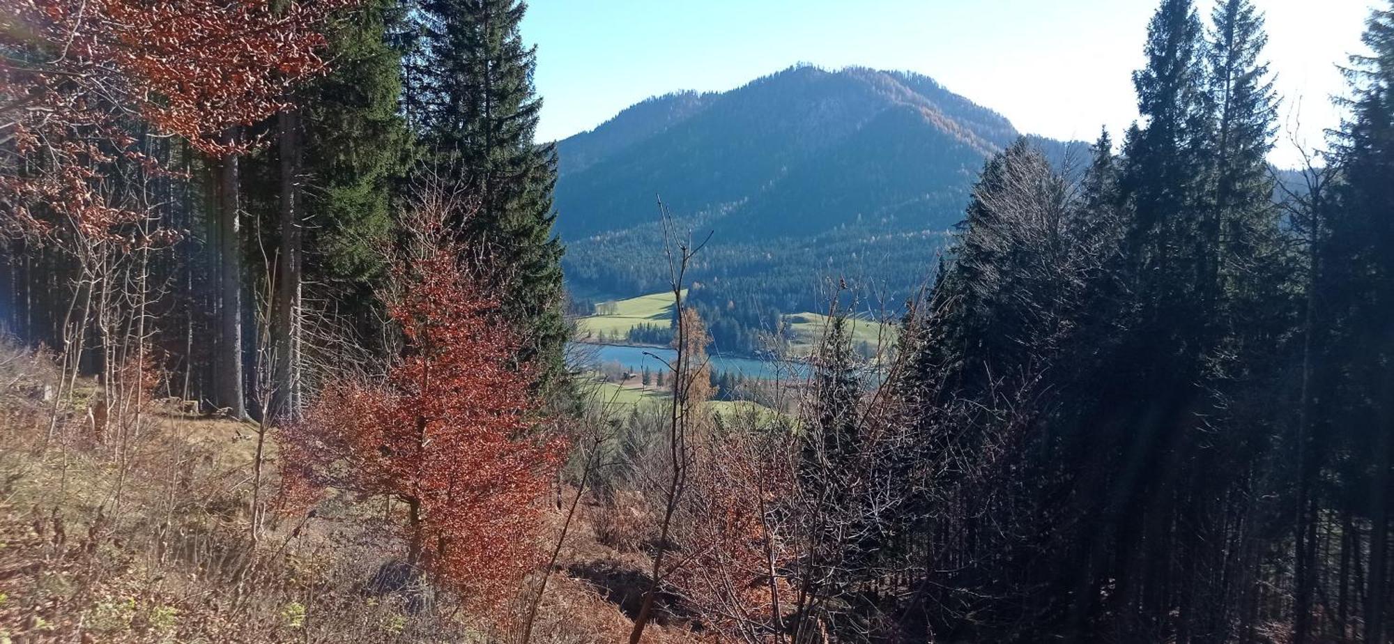 Appartamento Haus Elli Greifenburg Esterno foto