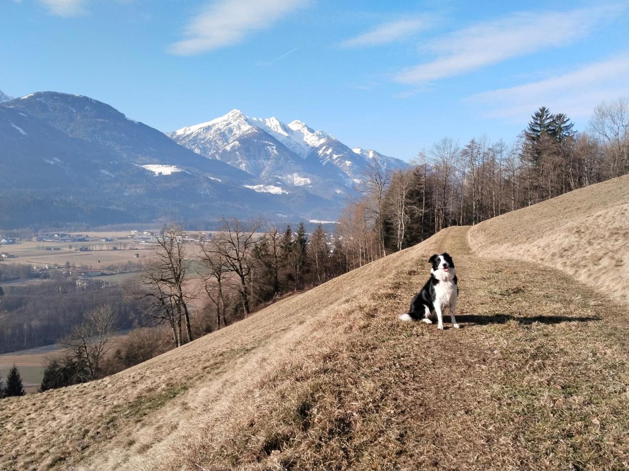 Appartamento Haus Elli Greifenburg Esterno foto